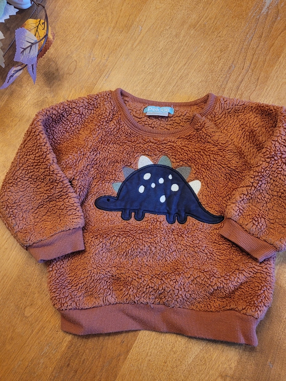 Pekkle Rust Teddy Fleece Kids Sweatshirt with Navy Dino Applique